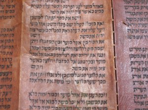 Digimax A50 / KENOX Q2