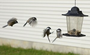 landing-sequence-kaddy