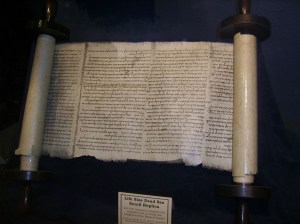 Digimax A50 / KENOX Q2