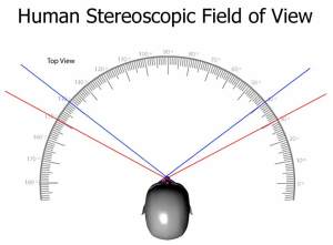 Stereoscopic_Field_of_View