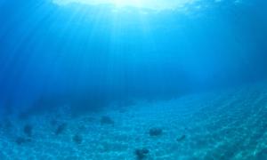 farmed-seafood-impacts-shutterstock_104654537