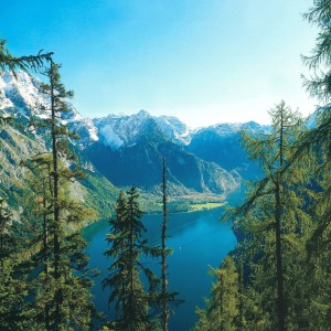 Mountains-Treelakes-2048x2048