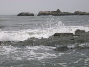 4593_105332677801_1501960_n