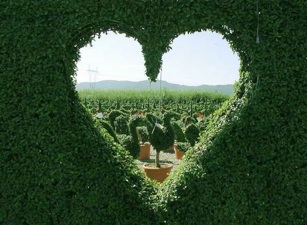 f8555ef30512424f5ee5fbe3c449f06e